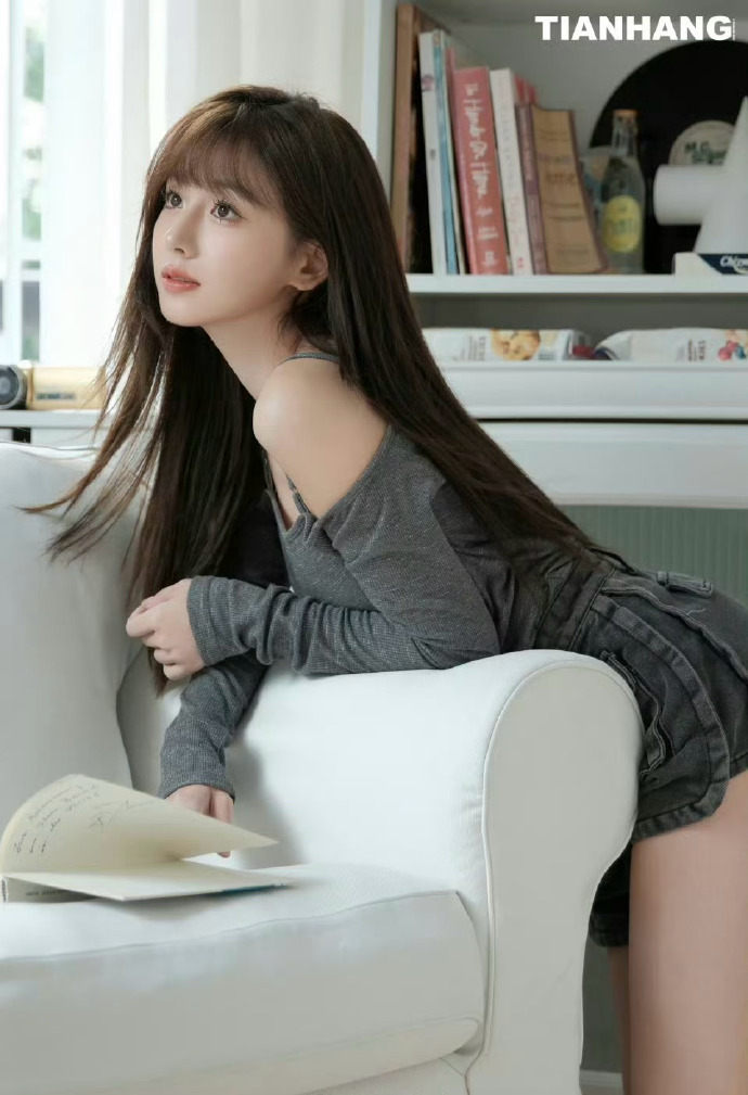 甄嬛传 封面